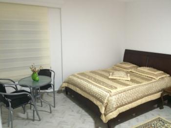 GÜVENAY - ÇORUM BOYRALI BAĞLARINDA BAKIMLI 1 DÖNÜM SATILIK BAĞ