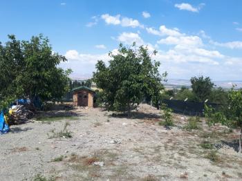 GÜVENAY - ÇORUM BOYRALI BAĞLARINDA BAKIMLI 1 DÖNÜM SATILIK BAĞ