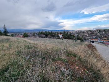 GÜVENAY - ÇORUM AYARIK BAĞLARI TED KOLEJİ ALTI 1 DÖNÜM BAĞ