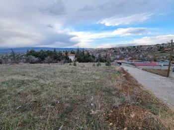 GÜVENAY - ÇORUM AYARIK BAĞLARI TED KOLEJİ ALTI 1 DÖNÜM BAĞ