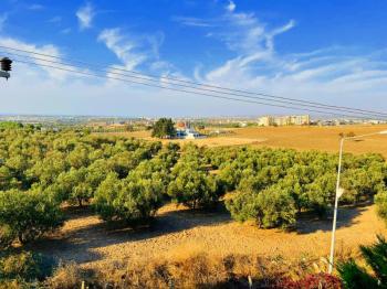 Didim Hisar Mahallesinde Satılık Havuzlu Sitede 4+1 Bahçeli Villa