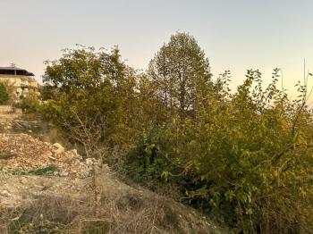 Elmas'tan Gözne Merkez'de Doğa Manzaralı Üç Tarafı Yol Arsa