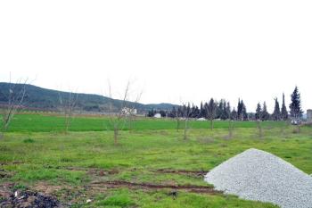 Geyve, Bayat'ta 1291 m2 İmarlı, Köyün Dibinde Satılık Ceviz Bahçesi