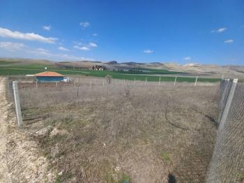 GÜVENAY - ÇORUM CEMİLBEY YOLU ÜZERİ ANAYOL YANI SATILIK BAHÇE 