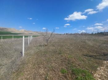 GÜVENAY - ÇORUM CEMİLBEY YOLU ÜZERİ ANAYOL YANI SATILIK BAHÇE 