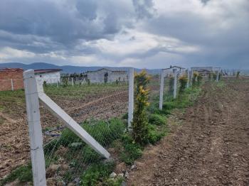 Güvenay - Çorum Cemilbey Yolu 3.km Satılık 400 M² Bahçe