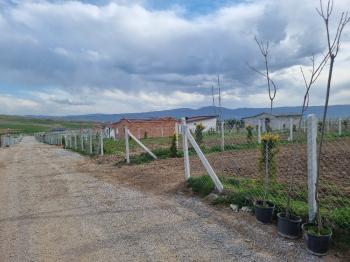 Güvenay - Çorum Cemilbey Yolu 3.km Satılık 400 M² Bahçe