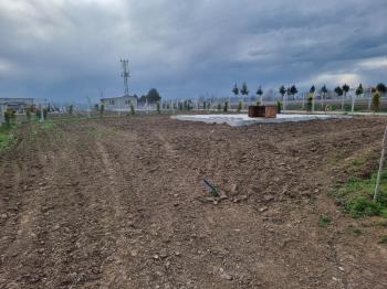 Güvenay - Çorum Cemilbey Yolu 3.km Satılık 400 M² Bahçe