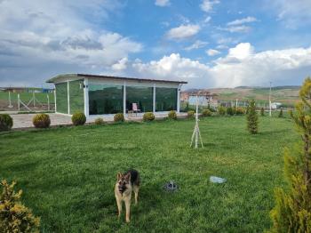 Güvenay - Çorum Cemilbey Yolu 3.km Satılık 400 M² Bahçe