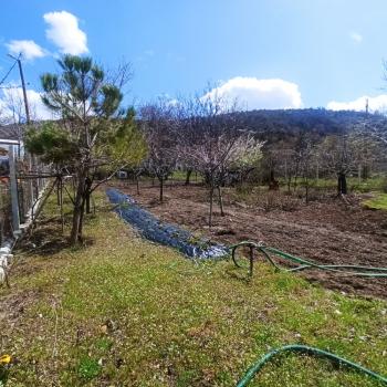 GÜVENAY - ÇORUM İÇERİDERE BAĞLARINDA 1,995 M² EVİ BULUNAN SATILIK BAĞ