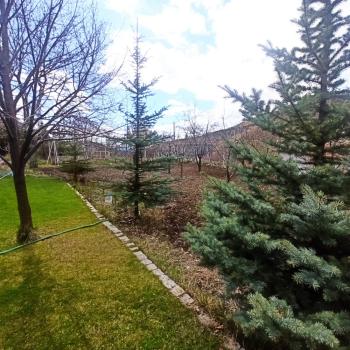 GÜVENAY - ÇORUM İÇERİDERE BAĞLARINDA 1,995 M² EVİ BULUNAN SATILIK BAĞ