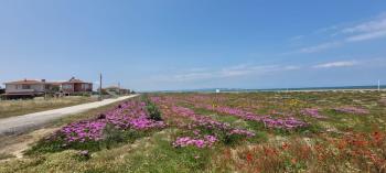 ÇANAKKALE BİGA NEF PROJESİ YANI 311 M² SATILIK VİLLA ARSASI