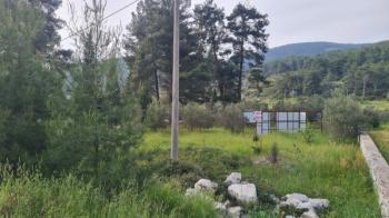 Muğla Bodrum karayolu üzerinde Korucuk'ta 1500m2 satılık arsa