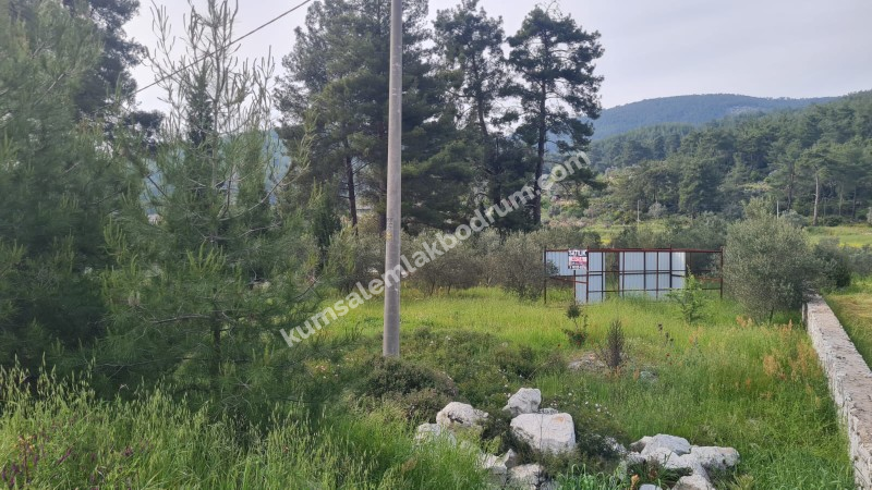 Muğla Bodrum karayolu üzerinde Korucuk'ta 1500m2 satılık arsa