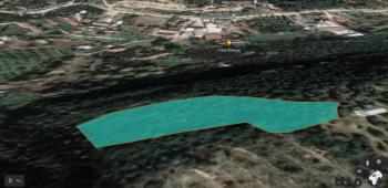 DijitalEmlak'tan Mudanya Talatbey'de 3 Dönüm Deniz Manzaralı Yolu Olan Satılık Kıymetli Zeytinlik.