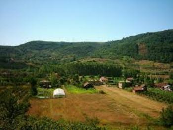 Düzce merkez kozlukta köy içi yola cephe 767 m2 bahçe fırsatı 
