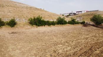 KAHTA ORGANİZE SANAYİ BÖLGESİ BİTİŞİĞİNDE SATILIK 2.325m² BAHÇE