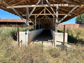 GÜVENAY - ÇORUM ALACA KAVŞAĞI İLERİSİ TARHAN CİVARINDA 8 DÖNÜM ÇİFTLİK