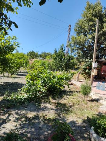 GÜVENAY - ÇORUM BARAJI DOĞUSU 2 DÖNÜM SATILIK BAĞ