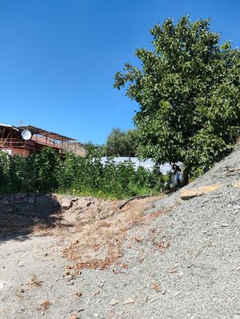 GÜVENAY - ÇORUM BARAJI DOĞUSU 2 DÖNÜM SATILIK BAĞ