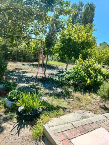 GÜVENAY - ÇORUM BARAJI DOĞUSU 2 DÖNÜM SATILIK BAĞ