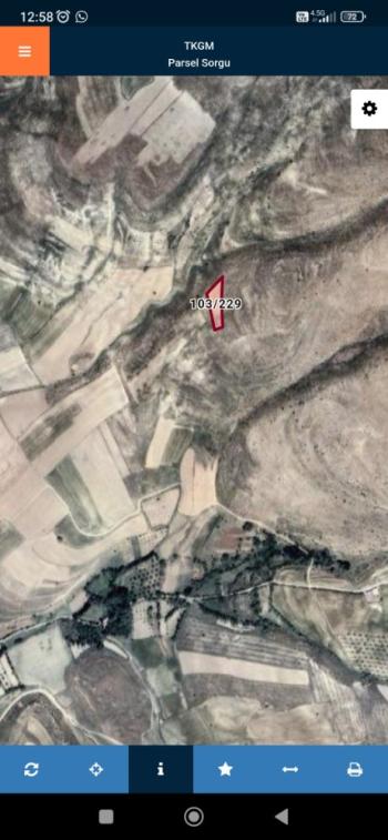 MERSİN MUT GÜME 1931 M2 SATILIK TARLA