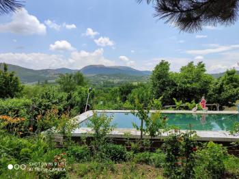 GÜVENAY – ÇORUM BARAJI YUKARISI – 9 DÖNÜM MEYVE AĞAÇLI, EVLİ VE BARAJ MANZARALI SATILIK BAĞ