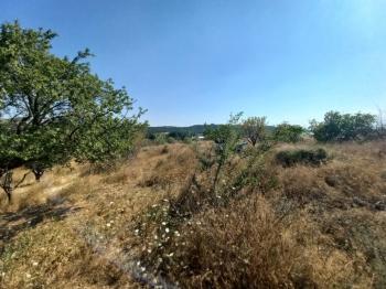 GÜVENAY – ÇORUM BARAJI YUKARISI – 9 DÖNÜM MEYVE AĞAÇLI, EVLİ VE BARAJ MANZARALI SATILIK BAĞ