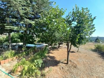 GÜVENAY – ÇORUM BARAJI YUKARISI – 9 DÖNÜM MEYVE AĞAÇLI, EVLİ VE BARAJ MANZARALI SATILIK BAĞ