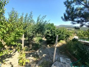 GÜVENAY – ÇORUM BARAJI YUKARISI – 9 DÖNÜM MEYVE AĞAÇLI, EVLİ VE BARAJ MANZARALI SATILIK BAĞ