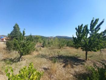 GÜVENAY – ÇORUM BARAJI YUKARISI – 9 DÖNÜM MEYVE AĞAÇLI, EVLİ VE BARAJ MANZARALI SATILIK BAĞ