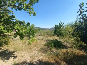 GÜVENAY – ÇORUM BARAJI YUKARISI – 9 DÖNÜM MEYVE AĞAÇLI, EVLİ VE BARAJ MANZARALI SATILIK BAĞ