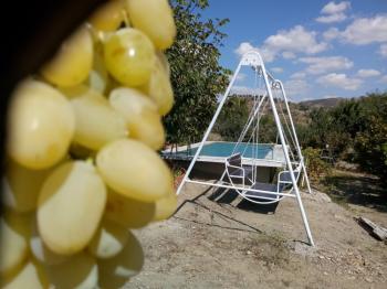 GÜVENAY – ÇORUM BARAJI YUKARISI – 9 DÖNÜM MEYVE AĞAÇLI, EVLİ VE BARAJ MANZARALI SATILIK BAĞ