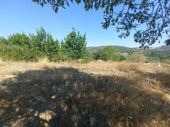 GÜVENAY – ÇORUM BARAJI YUKARISI – 9 DÖNÜM MEYVE AĞAÇLI, EVLİ VE BARAJ MANZARALI SATILIK BAĞ