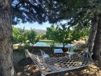 GÜVENAY – ÇORUM BARAJI YUKARISI – 9 DÖNÜM MEYVE AĞAÇLI, EVLİ VE BARAJ MANZARALI SATILIK BAĞ