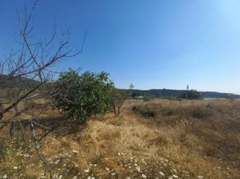 GÜVENAY – ÇORUM BARAJI YUKARISI – 9 DÖNÜM MEYVE AĞAÇLI, EVLİ VE BARAJ MANZARALI SATILIK BAĞ