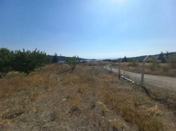 GÜVENAY – ÇORUM BARAJI YUKARISI – 9 DÖNÜM MEYVE AĞAÇLI, EVLİ VE BARAJ MANZARALI SATILIK BAĞ