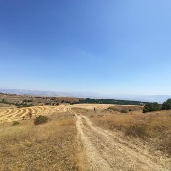 GÜVENAY - ÇORUM ORGANİZEYE YAKIN 70 DÖNÜM SATILIK TARLA