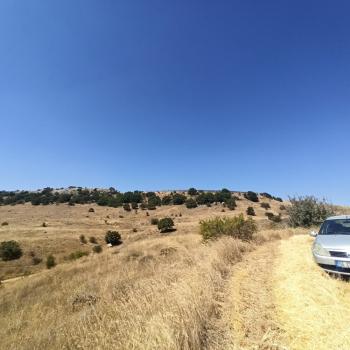 GÜVENAY - ÇORUM ORGANİZEYE YAKIN 70 DÖNÜM SATILIK TARLA