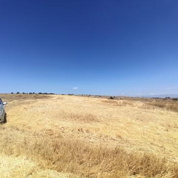 GÜVENAY - ÇORUM ORGANİZEYE YAKIN 70 DÖNÜM SATILIK TARLA