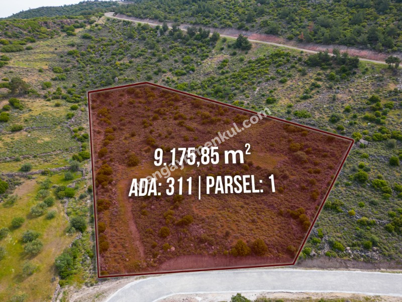Ayvacık Babakale Köyünde 9.175 m² EKO TURİZM imarlı SATILIK arsa
