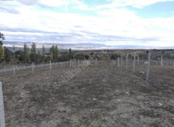 GÜVENAY - ÇORUM İSKİLİP YOLU İSTİKAMETİ AŞAĞISARAYLI TEK TAPU ARSA