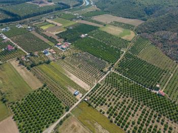 Ortaca Fevziye Mahallesinde Hisseli 2.405 m2 Satılık Tarla