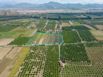 Ortaca Fevziye Mahallesinde Hisseli 2.405 m2 Satılık Tarla