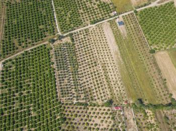 Ortaca Fevziye Mahallesinde Hisseli 2.405 m2 Satılık Tarla