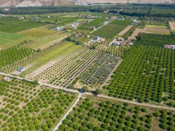 Ortaca Fevziye Mahallesinde Hisseli 2.405 m2 Satılık Tarla