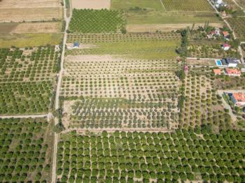 Ortaca Fevziye Mahallesinde Hisseli 2.405 m2 Satılık Tarla