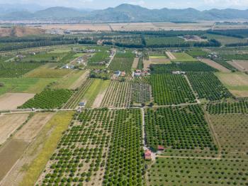 Ortaca Fevziye Mahallesinde Hisseli 2.405 m2 Satılık Tarla