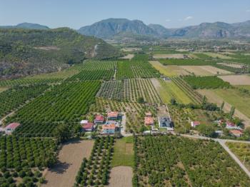 Ortaca Fevziye Mahallesinde Hisseli 2.405 m2 Satılık Tarla