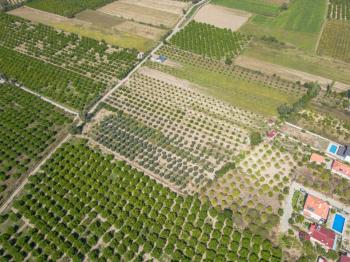 Ortaca Fevziye Mahallesinde Hisseli 2.405 m2 Satılık Tarla